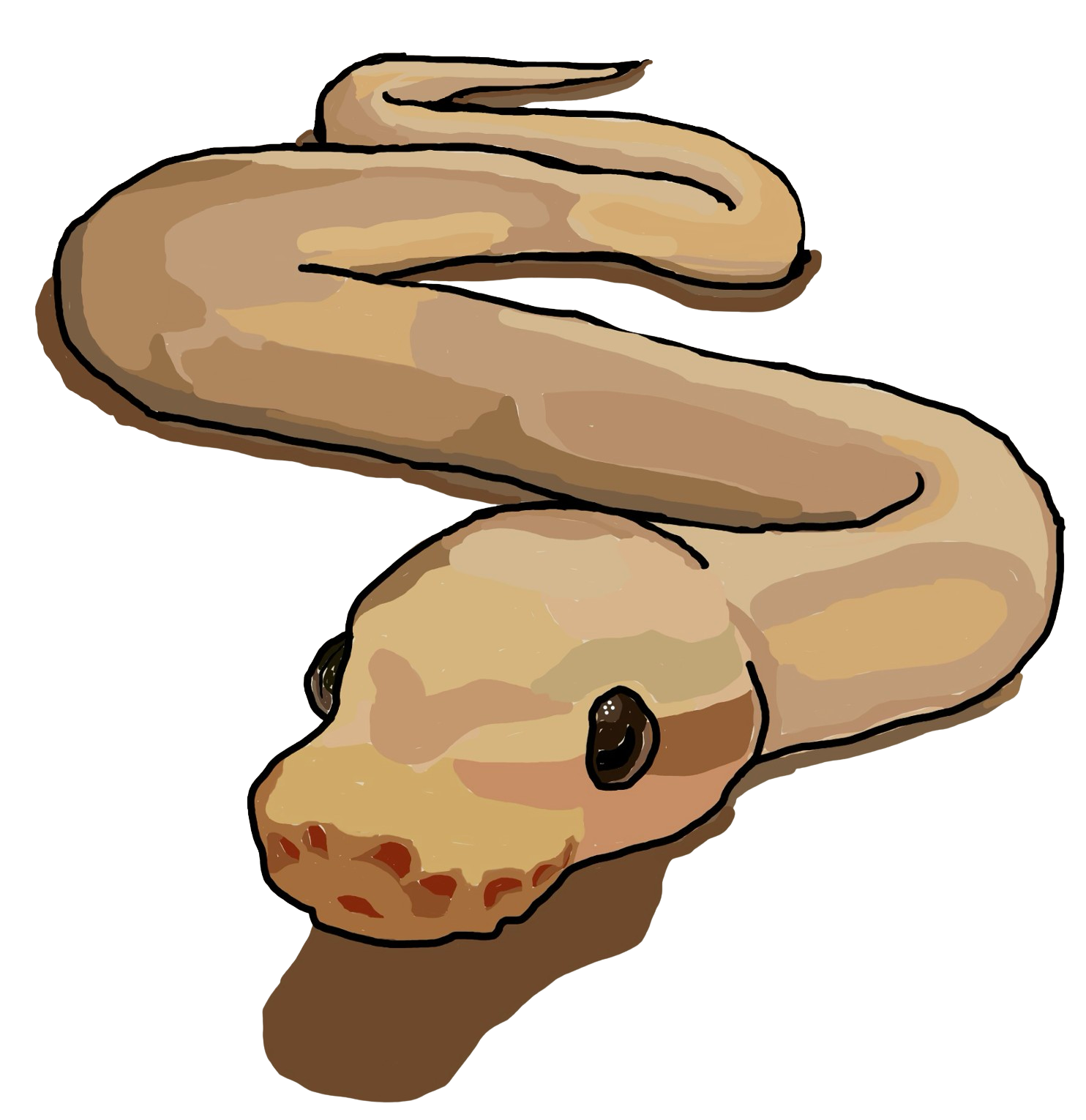 A snake